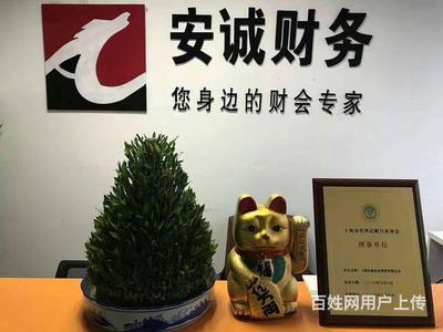 專業賦能，穩健前行——楊浦區企業財務服務首選安誠財務王會計